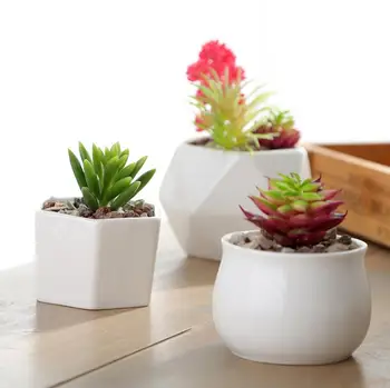 Paprastos Baltos Keramikos Vazonas Succulents Puodą Kelis Formų Mažas Vazonas Namų Stalo Apdailos