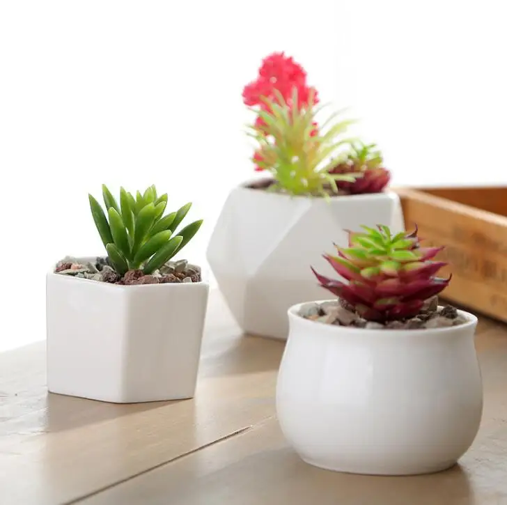 Paprastos Baltos Keramikos Vazonas Succulents Puodą Kelis Formų Mažas Vazonas Namų Stalo Apdailos Nuotrauka 0